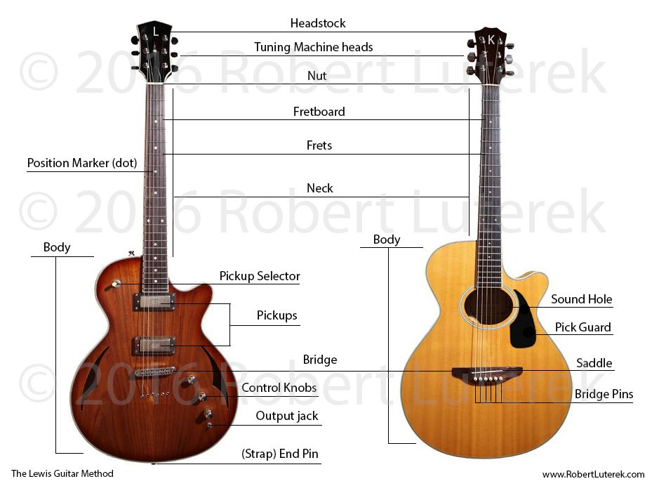 Parts of the guitar chart Parts of the guitar chart